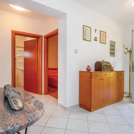 Pet Friendly In Viskovo